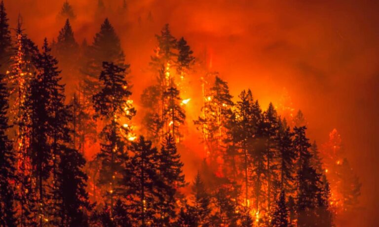 17:53 "300 Structures Lost, 18,000 Acres Scorched: Unveiling the Terrifying Aftermath of Spokane's Twin Wildfires!"